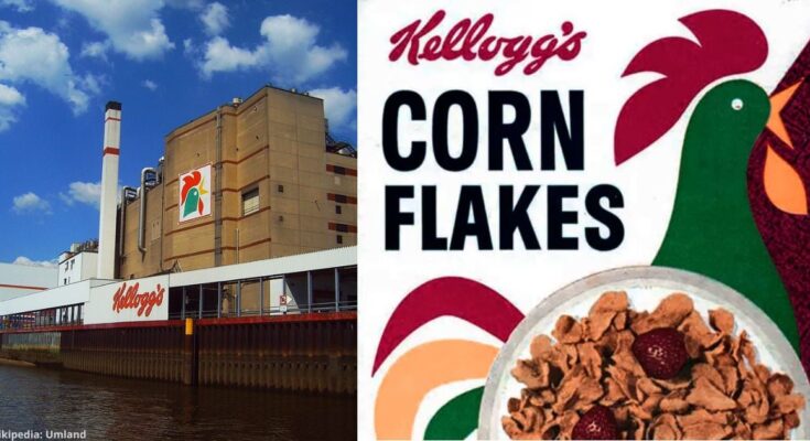 los cereales más famosos del mundo que curaban a los ‘enfermos’ los cereales más famosos del mundo que curaban a los ‘enfermos’